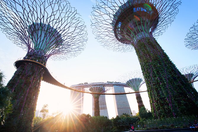 2-4 days in Singapore Guided Tour Pass - Price and Value: When $133.16 Makes Sense