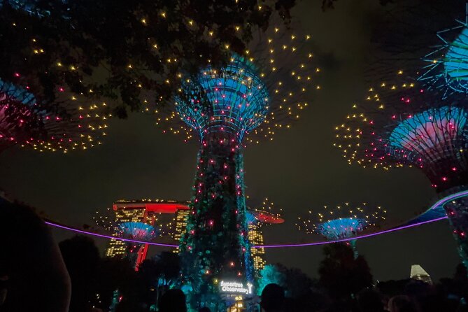 2 Pax Bundle Singapore River Cruise and Stunning Light Shows - Who this Singapore night bundle suits best