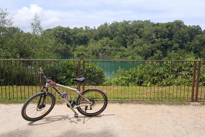 4 Hours Cycling in the Nature at Pulau Ubin Singapore - Wildlife Spotting: What You Can Count On and What You Shouldn’t