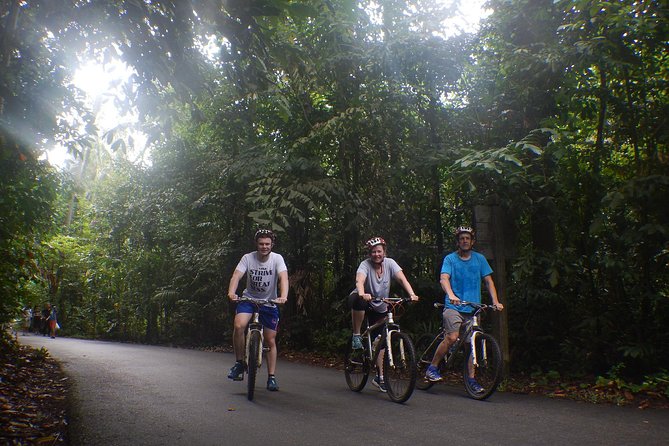 4 Hours Cycling in the Nature at Pulau Ubin Singapore - Bikes, Helmets, and Safety: How to Keep This From Going Wrong
