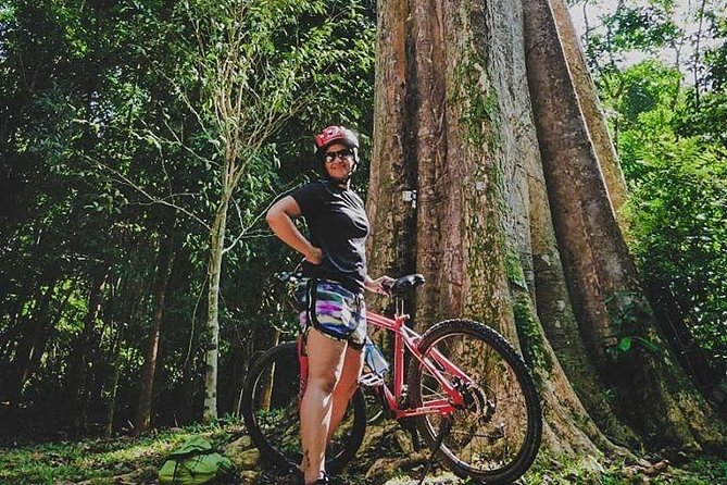 4 Hours Cycling in the Nature at Pulau Ubin Singapore - Price and Value: Is SGD Worth It for Four Hours?