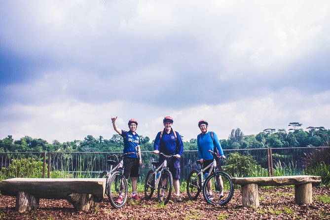 4 Hours Cycling in the Nature at Pulau Ubin Singapore - The 4-Hour Flow: Bike Fitting, Safety Talk, Then Trail Time