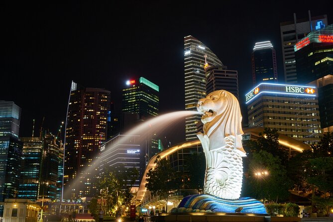 4 Hours - Singapore Tour in Private Car or Minibus with Driver - How the 4-Hour Private Drive Actually Feels