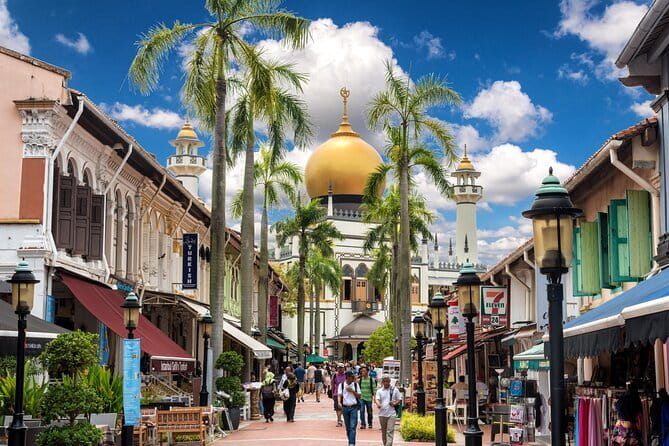 5 hours Little India, Kampong Glam, Chinatown with 9 Food Tasting - What You Should Bring (And What to Expect Walking)