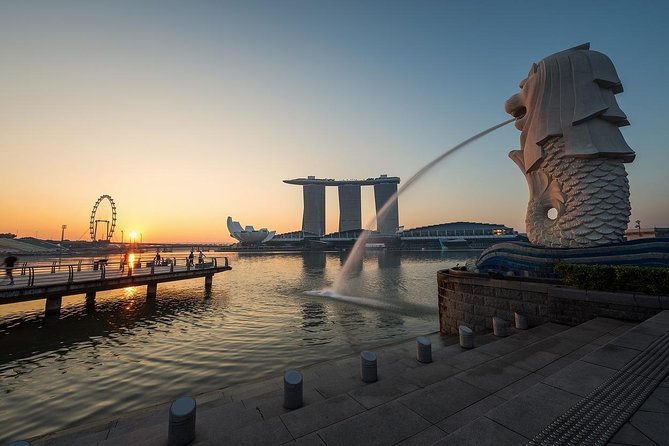 6 Hours - Singapore Tour in Private Car or Minibus with Driver - Private car comfort that actually matters in Singapore