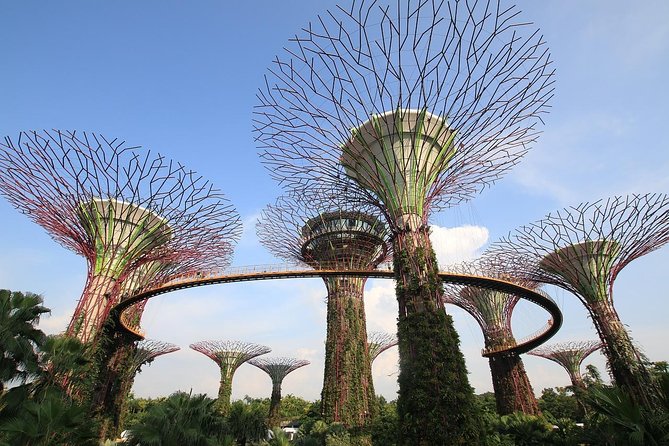 6 Hours - Singapore Tour in Private Car or Minibus with Driver - Raffles City and China Square for downtown contrast