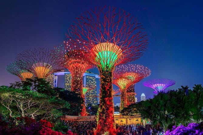 Admission E-Ticket to Gardens by the Bay Singapore - Key Highlights You Should Know Before You Go
