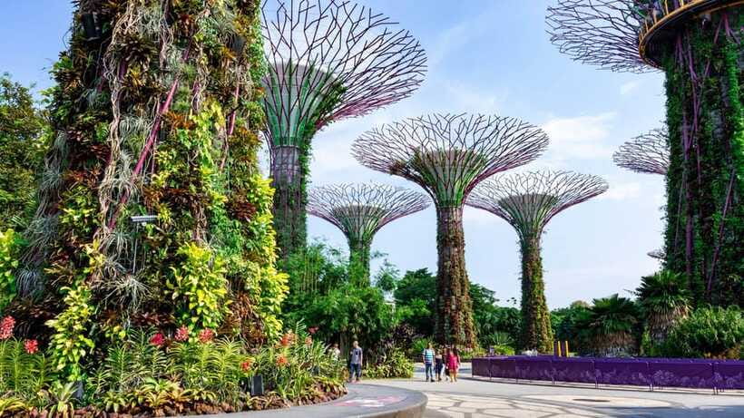 Best of Singapore: Private Walking Tour with a Local - Gardens Option B: Gardens by the Bay for Futuristic Singapore