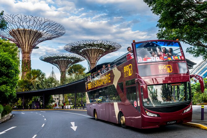 Big Bus Singapore Hop-On Hop-Off Tour - Key Things That Make This Tour Worth Your Time