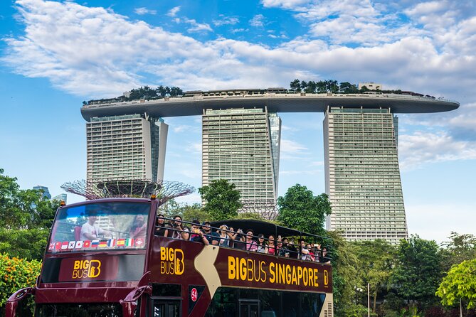 Big Bus Singapore Hop-On Hop-Off Tour - Night Tour Upgrade: Lau Pa Sat Plus Gardens Light Show