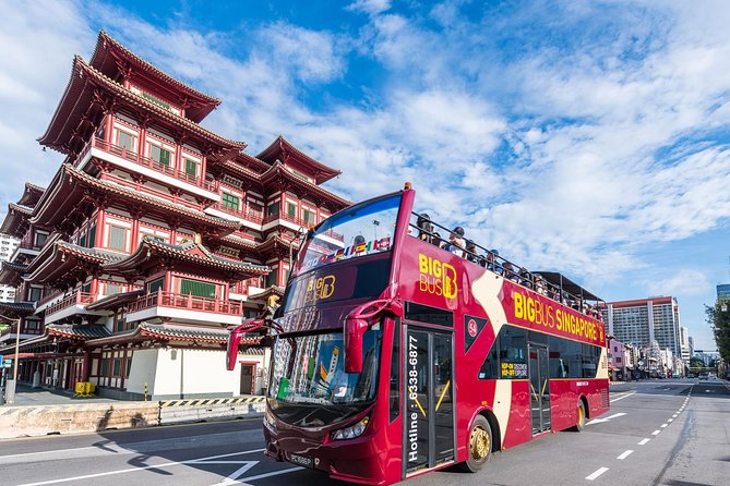 Big Bus Singapore Hop-On Hop-Off Tour - Two Routes, Two Moods: How to Choose Red vs Yellow