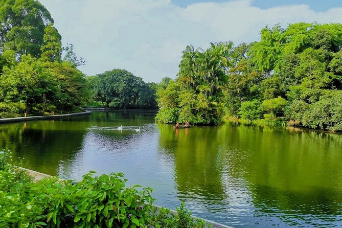 Botanic Gardens & Tiong Bahru Walking Tour with Breakfast - Why this morning tour works so well