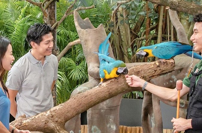 Breakfast In the Wild at Singapore Zoo Promo - The breakfast program at Singapore Zoo: food, animals, and photo time
