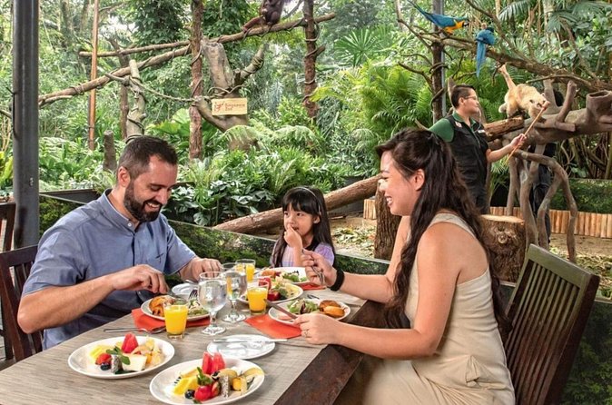 Breakfast In the Wild at Singapore Zoo Promo - Bird Park ticket included: how to use it without rushing