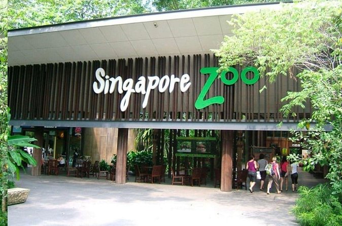 Breakfast In the Wild at Singapore Zoo Promo - Who should book this breakfast experience?
