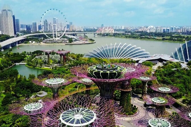 City Tour+Gardens by the Bay(FlowerDome&JurassicWorld) Transfers - Gardens by the Bay: Cloud Forest and Flower Dome in one focused block