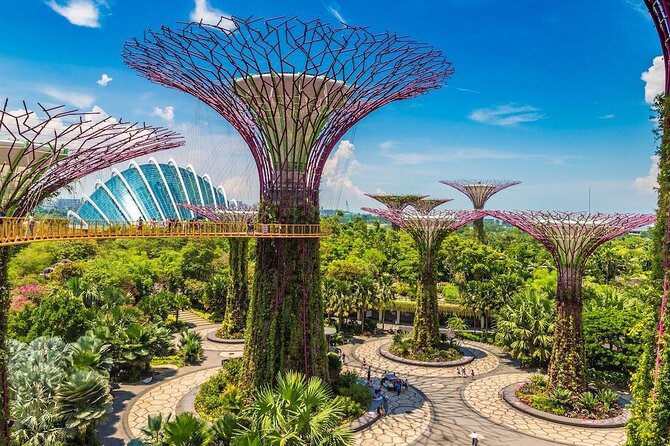 City Tour+Gardens by the Bay(FlowerDome&JurassicWorld) Transfers - Transfers and timing: why the morning can feel smooth or slightly complicated