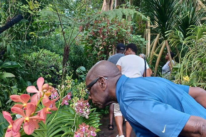 Exclusive Private Tour by a Singaporean Guide - Getting oriented at the Colonial and Civic District