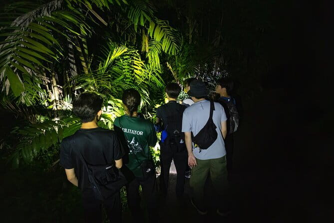 Explore a Rainforest teeming with Wildlife at Night! - Key highlights to know before you go