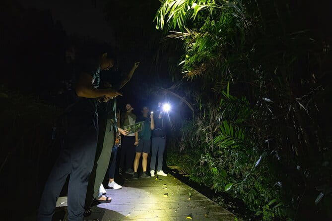 Explore a Rainforest teeming with Wildlife at Night! - The slow pace: why 2.5 hours feels right at night