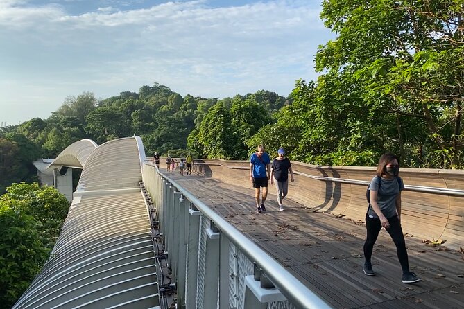 Exploring Singapore’s Forgotten Hills - Why Mount Faber to Labrador Park works so well