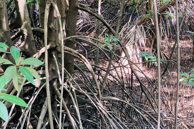 Exploring Singapore’s Forgotten Hills - Southern Ridges: a trail with built heritage in the same frame