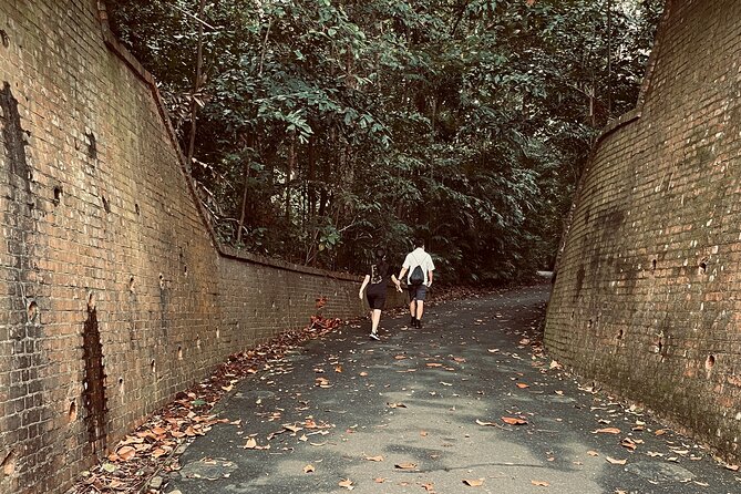 Exploring Singapore’s Forgotten Hills - Pace, timing, and what the 3 hours 30 minutes feels like