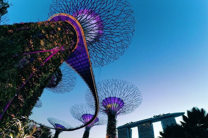 Fabulous Night-Out Private Tour in Singapore - Marina Bay and Gardens by the Bay: Supertree Grove views with a skyline feel
