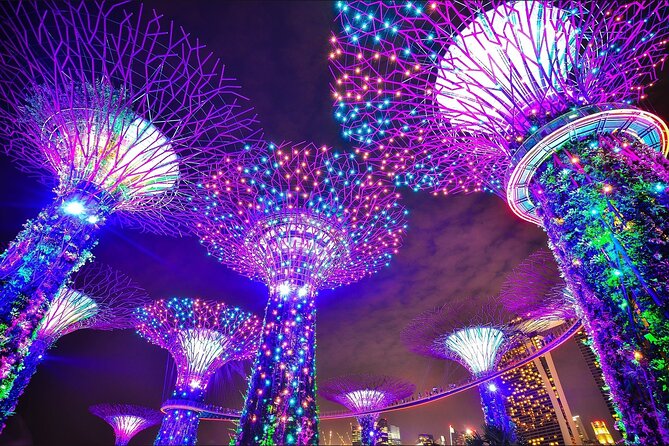 Fabulous Night-Out Private Tour in Singapore - Chinatown after dark: Food Street, shops, and tight lanes