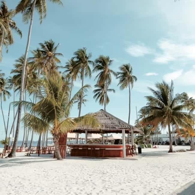 From Singapore : Private Batam Island Snorkeling and Canoe - Meals on Batam: what’s included and how to handle vegetarian needs