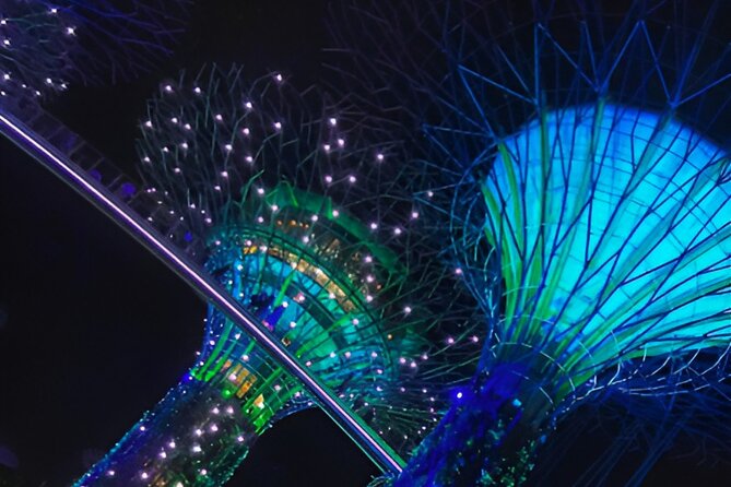 Garden by the Bay Singapore combo - Cloud Forest: the 35-meter indoor waterfall and Jurassic moments
