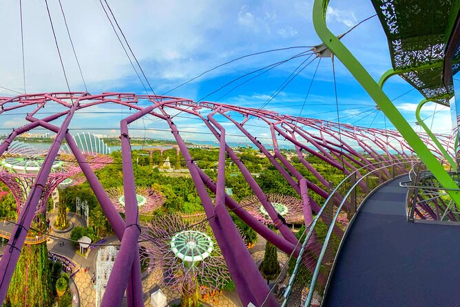 Garden by the Bay Singapore combo - Supertree Grove and Garden Rhapsody: the night cap that makes it a full day