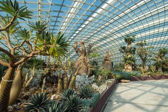 Gardens by the Bay E - Ticket with Flower Dome +CF Singapore - Timing your visit for the free light show at night