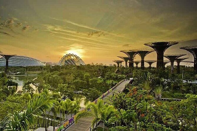 Gardens by the Bay E - Ticket with Flower Dome +CF Singapore - Should you book this Gardens by the Bay e-ticket?