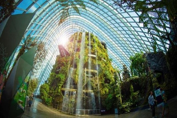 Gardens By The Bay E-Tickets - Cloud Forest: a rainforest pavilion with a loud side (and why that’s good)