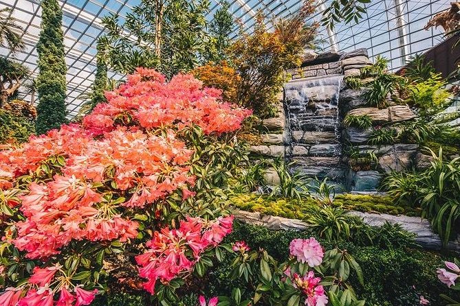 Gardens By The Bay E-Tickets - Price and value: what $12.90 really buys you