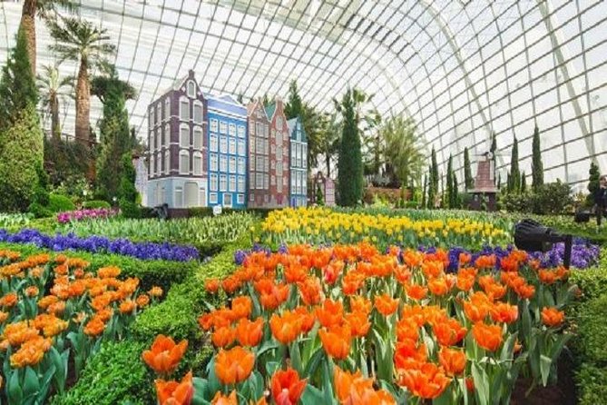 Gardens By The Bay E-Tickets - Picking the right option: Cloud Forest and Flower Dome vs Supertree vs Floral Fantasy