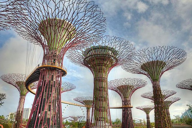 Gardens By the Bay Exp Event - Pickup, transfers, and the real-world time sink to plan for