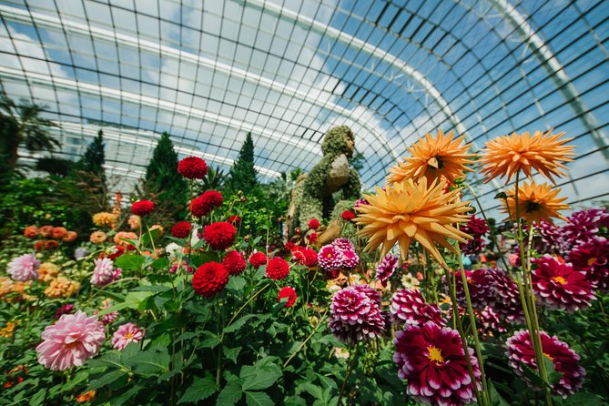 Gardens By the Bay Exp Event - Ticket value: what $57.97 buys you