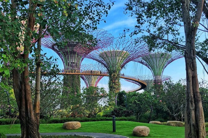 Gardens by the Bay Guided Tour - Cloud Forest: Indoor Waterfall, Orchids, Carnivorous Plants, and a Suspension Bridge