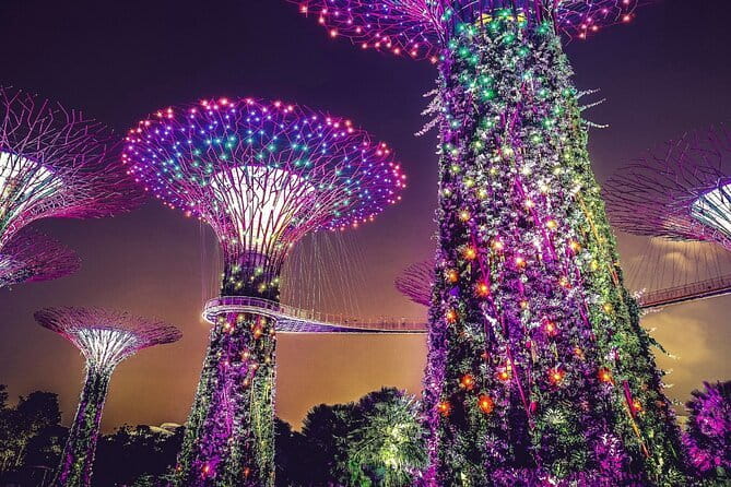 Gardens by the Bay Guided Tour - Price and Value: How $111.95 Adds Up for This Specific Tour