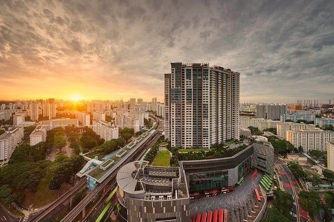 Gardens by the Bay Guided Tour - Should You Book This Gardens by the Bay Guided Tour?