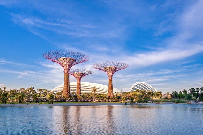 Gardens by the Bay & Marina Bay Sands Tickets - Gardens by the Bay: Flower Dome and Cloud Forest in Real Time