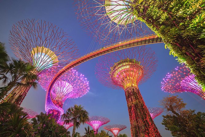 Gardens by the Bay with 2 Flower Dome + Marina Bay Sands Skypark - Key points before you go