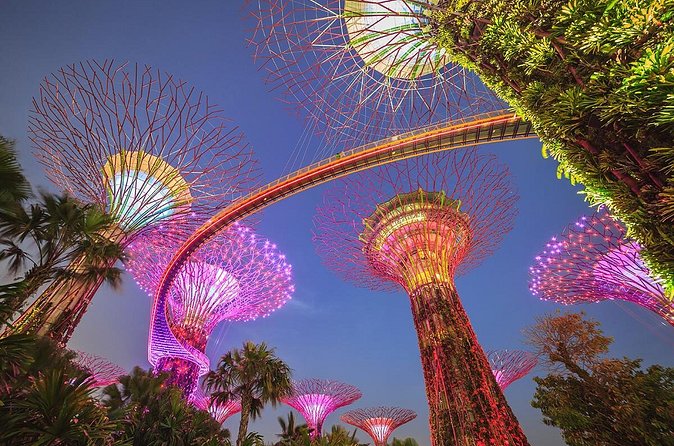 Gardens by the Bay with 2 Flower Dome + Marina Bay Sands Skypark - Flower Dome: cool-dry climate design that feels like a break from the tropics