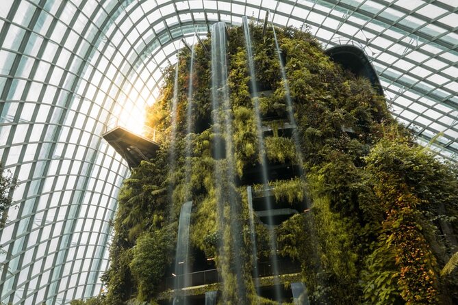 Gardens by the Bay with 2 Flower Dome + Marina Bay Sands Skypark - Tour logistics that actually affect your comfort