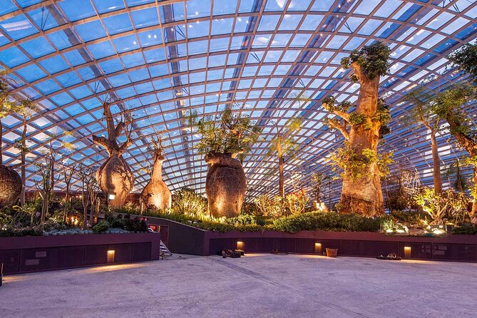 Gardens by the Bay with 2 Flower Dome + Marina Bay Sands Skypark - Price and value: what you are paying for, and what you are not
