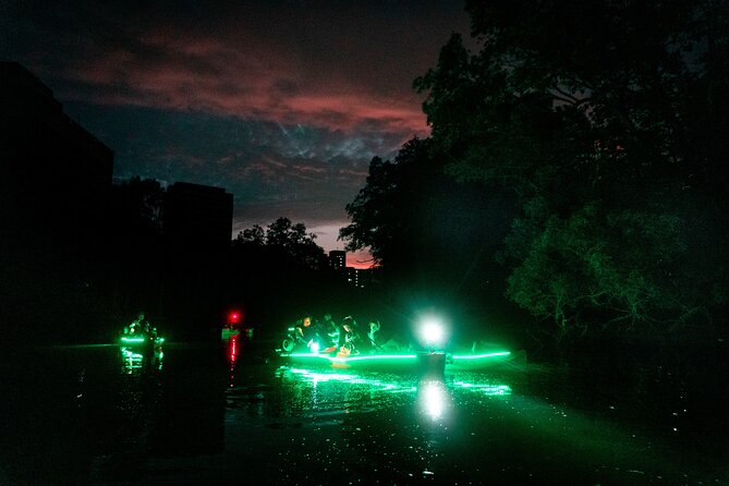 Glow Kayak Night Adventure in the Mangroves - Why This Glow Kayak Night Adventure Feels Different Than Usual Singapore Sightseeing