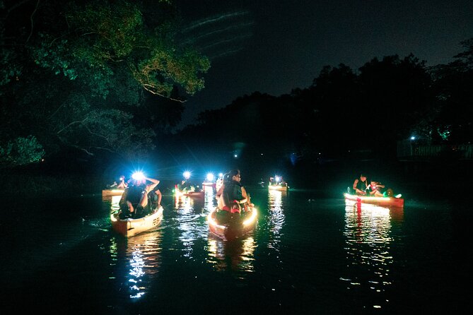 Glow Kayak Night Adventure in the Mangroves - New Year Fireworks From the Kayak: When the Night Gets Extra Special