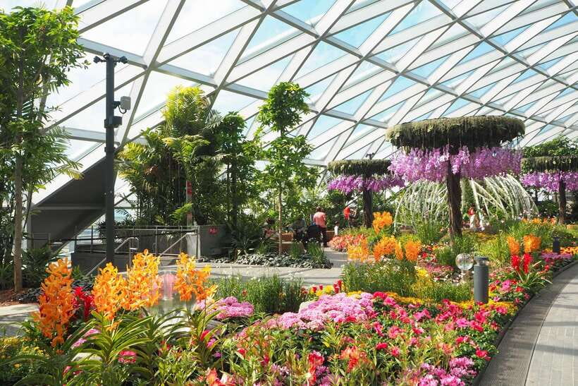 Jewel Changi Airport: Mirror Maze and Canopy Park Ticket - Jewel Changi Mirror Maze and Canopy Park, in plain terms